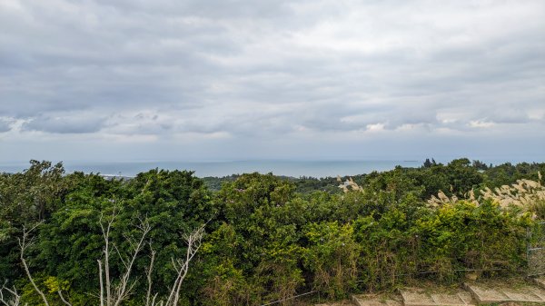 大古山登山步道2365641