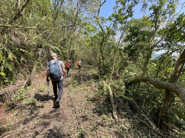 小格頭越嶺坪林2738373