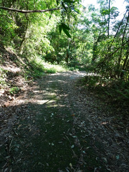 台灣小百岳第69座高雄甲仙白雲山之三角點993556