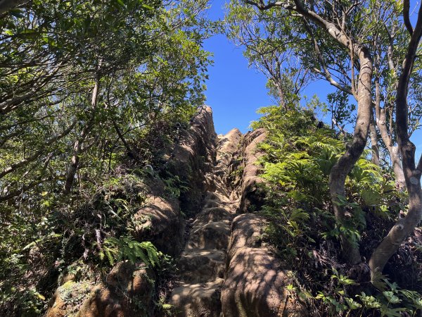 [微笑山線_第九段] 2025_0914 二格山系_天王峰2889549