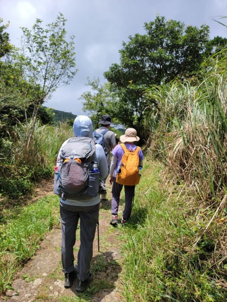 頂湖-頂湖山-小屯山-大屯山南峰-大屯坪-二子坪-202408112601426