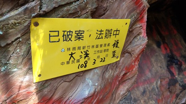 2020.03.08塔曼山872670