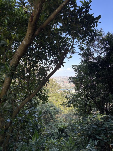 小百岳 - 鳶山3132614