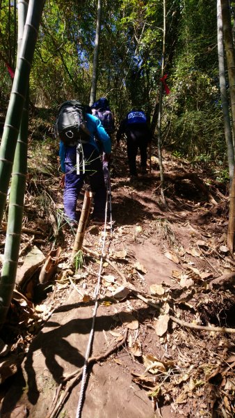 四天皇山知鳥山青園山篤鼻山1264675