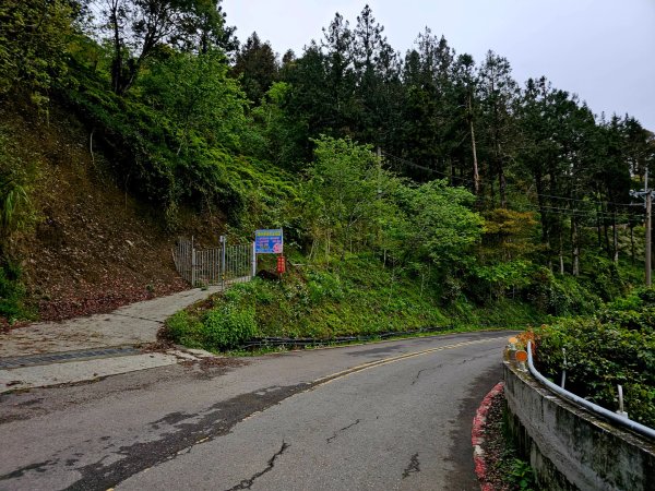 藤枝山-小百岳#68-高雄市桃源區2750334