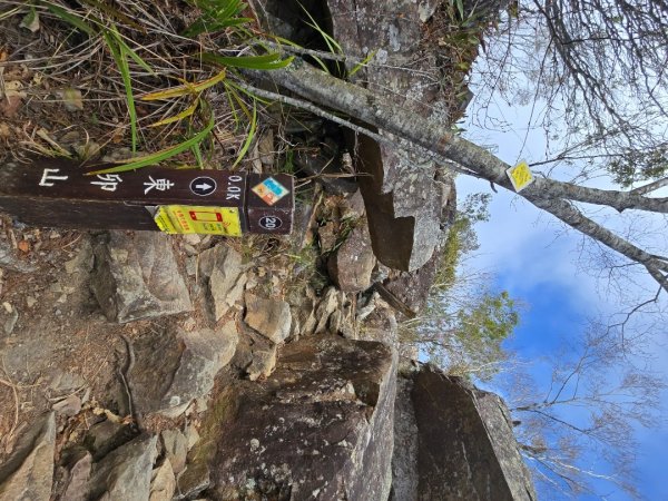 東卯山／東卯山西峰+賞山櫻花2715990