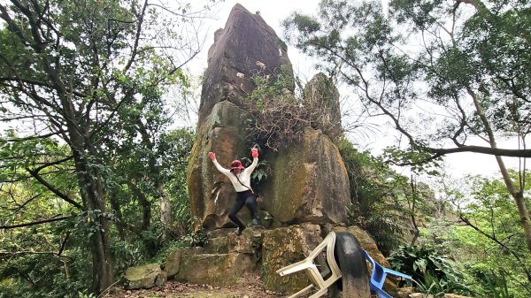 圓通寺烘爐地登山步道大O走3007036