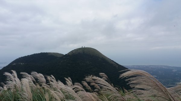 20181020 陽明山西段縱走438685