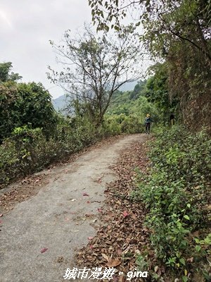 【屏東來義】小百岳棚集山x棚集下山O 繞3013074