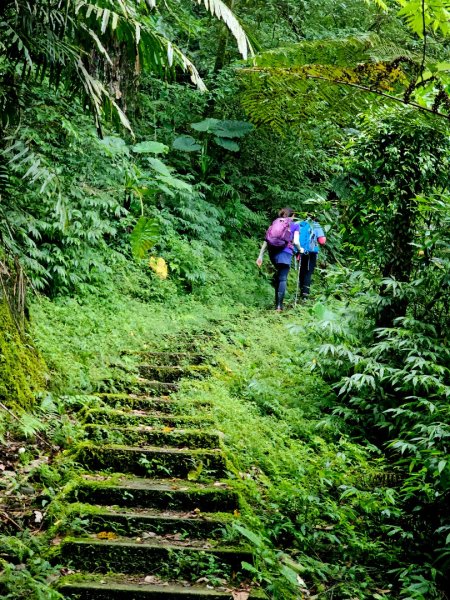 (五分山系)平溪小黃山-2025微笑山線大縱走尋寶集章任務2855305