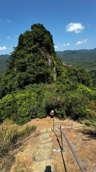 孝子山、普陀山、慈母峰賞鹿子野百合O走2592912