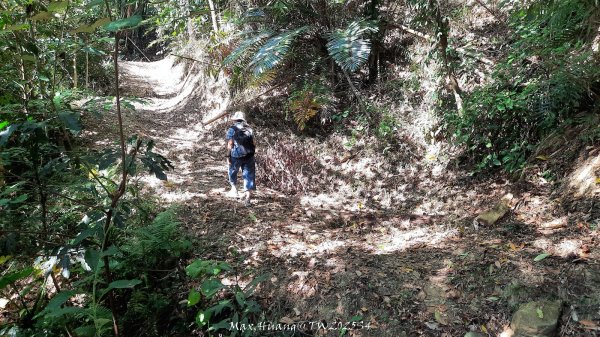 《南投》古道巡禮｜八通關古道社寮線蜈蚣崙段202511152937035