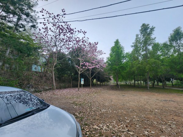 20260321貓頭山西關刀山能高瀑布O型3043784