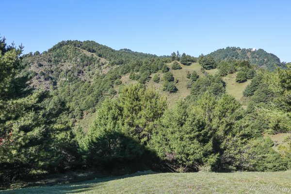 [塔塔加連峰]麟趾山-鹿林山-鹿林前山1797129