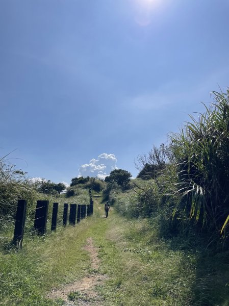 金包里大路封面