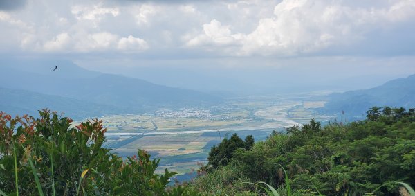 2023-06-23萬人山、六十石山步道群、羅山村竹林步道2193605