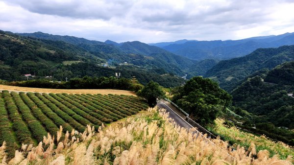 石碇皇帝殿（西峰，東峰），天王峰，坪林獅公髻尾山，文山指南宮千階步道（竹柏參道），十六分山，貓空尖1971302
