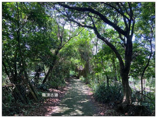 南投台、隴頂古道、員林廣天宮、員林神社 連走3112711