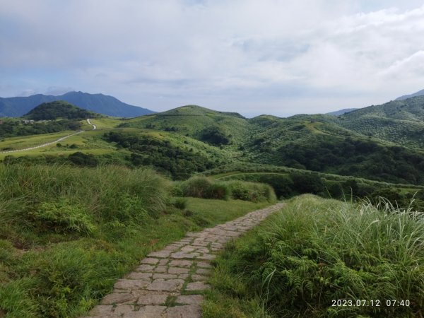 擎天崗環形步道2215641