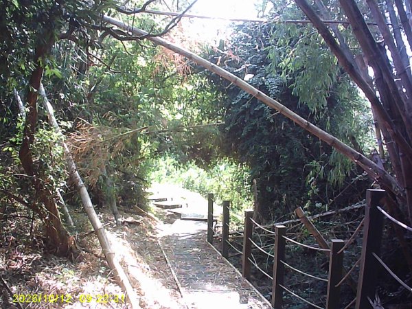 石岡區挑物古道+九房里古道O繞3133663