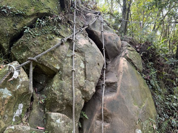 [微笑山線_第八段] 2026_0411 二格山系_筆架山北峰3035127