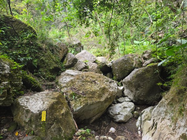 麻荖漏步道、彩虹瀑布2697936