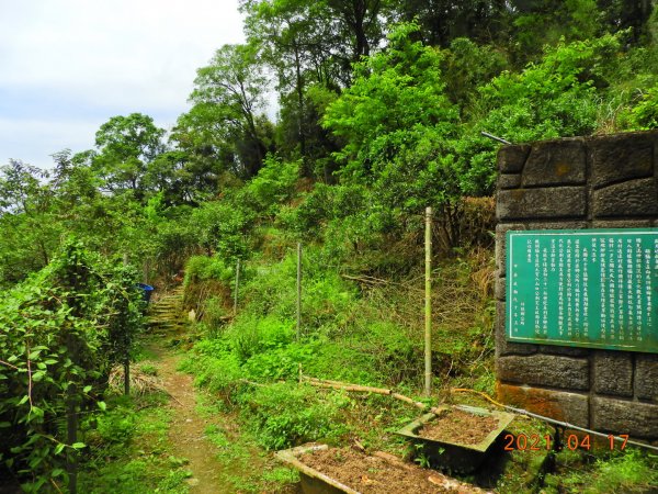 新北 坪林 東坑山、建牌崙山、梳妝樓山1352148