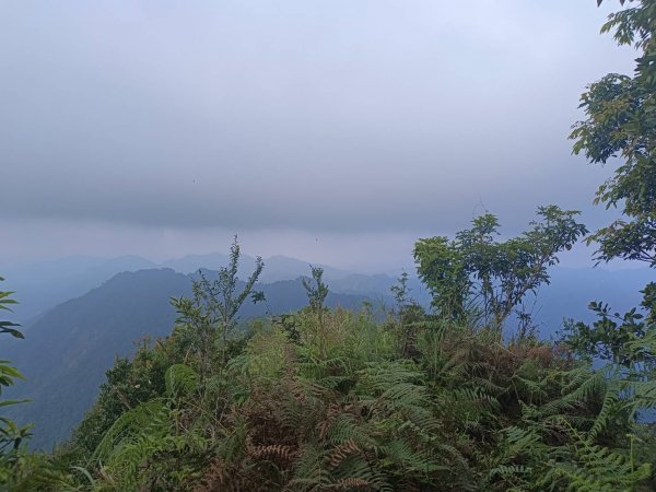 20230930台中太平大橫屏山北峰、大橫屏山北北峰2300434