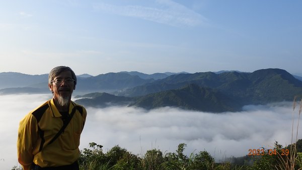 雲山水花鳥蝶-天龍國阿伯的日常4/29 翡翠水庫壩頂火燒雲日出雲海+松月櫻關山櫻日本紅楓