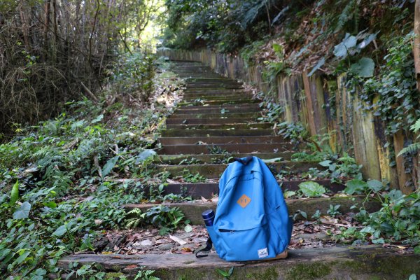 藍天綠意練腳力。 坑內坑森林步道781850