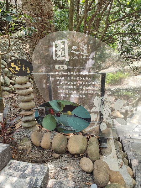 鐵砧山登山步道2931398