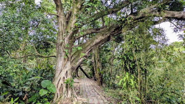 七二法則的倍數樂章2984135