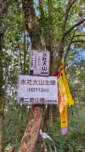 水社大山/水社主峰（青年活動中心起登）1613898