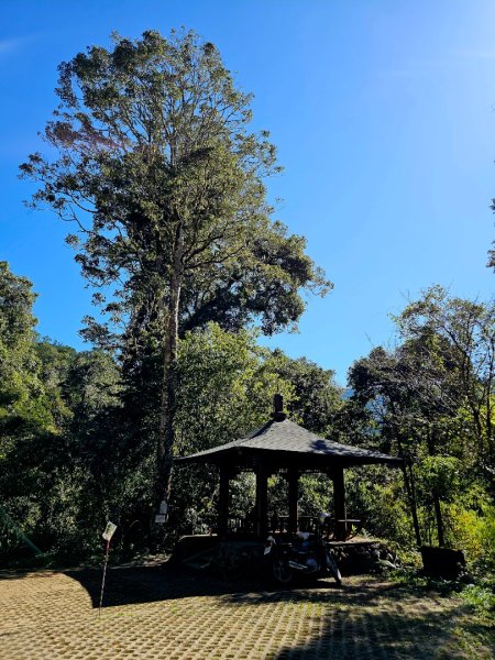 特富野古道-2024嘉遊好步道．來嘉走走2674377