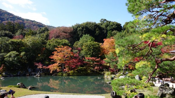 日本京都嵐山651944