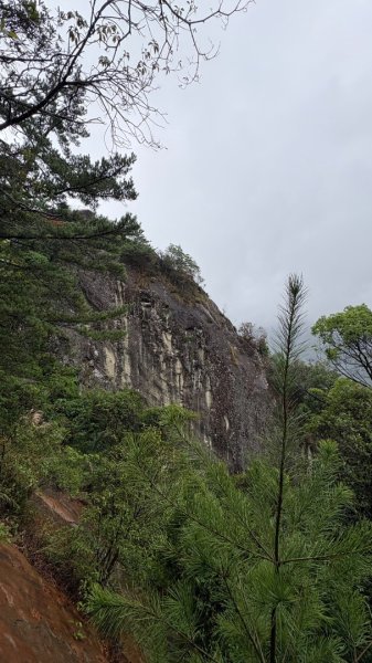 迎新（2026元旦2975612