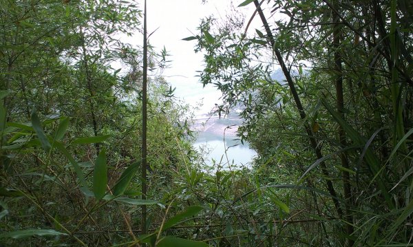 蓬萊仙島_石牛山_油井窩山O型201404301959943