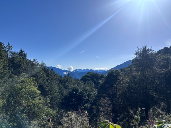 鹿林前山、鹿林山、麟趾山O繞縱走2799630