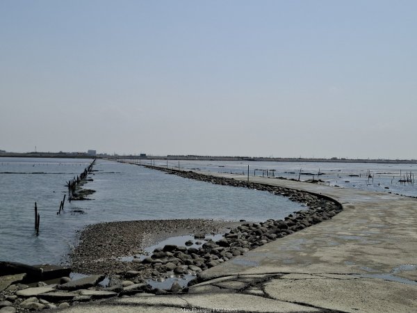 《彰化》海中步道｜漢寶濕地芳苑濕地健行賞鳥202603153016758