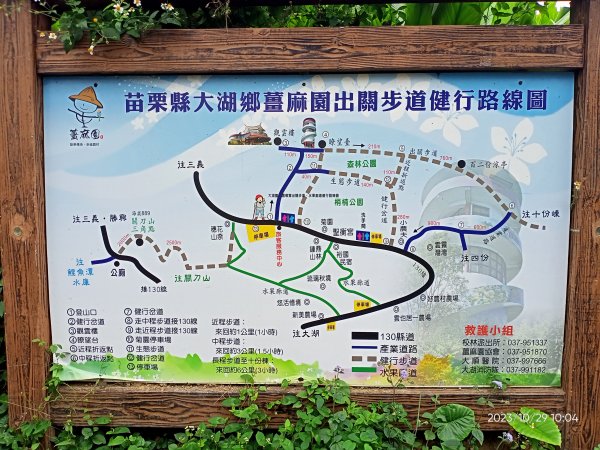 出關古道：聖關段(關刀山步道)、薑麻園、大湖酒莊【小百岳集起來、走路趣尋寶】2331950