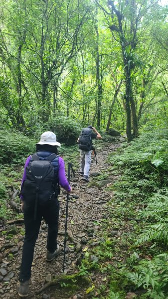 2026-0204 中坑古道_下坑古道O型3005557