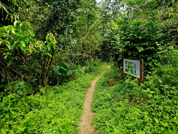 四寮溪生態步道-2025森遊竹縣皮皮獅探險隊2889098