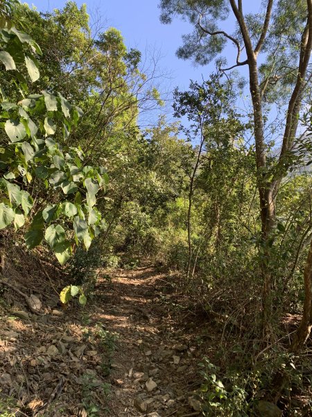 20250301屏東戶亞宇山主峰-基點峰2732971