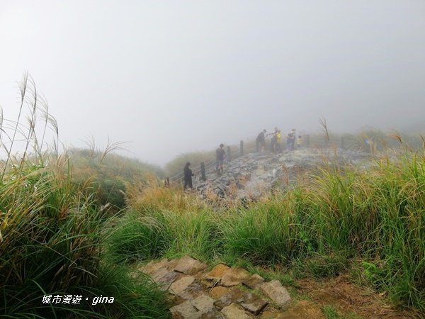 台北市第一高峰。 編號02小百岳七星山1235329