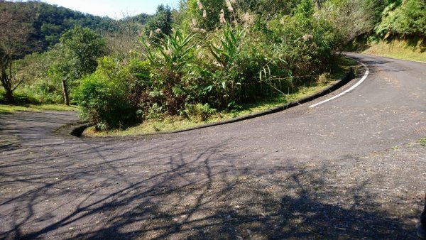 璀璨百年淡蘭古道～闊瀨古道、北勢溪古道、怣子坑古道、南豹子廚O走1260333