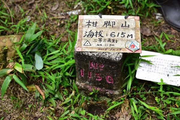 崩山坑古道-柑腳山-山腰古道-中坑頭593373