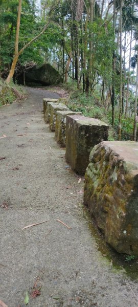 關子嶺運動+泡湯，雞籠山步道：台灣最大蜘蛛、黑端豹斑蝶、猴子、赤蛙、蜥蜴、山豬(只有聽到聲音)1708439