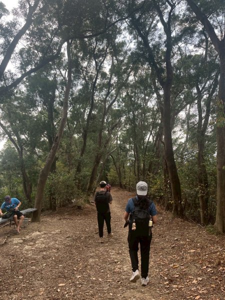 2026/02/20笠頂山+真笠山西南峰3008122