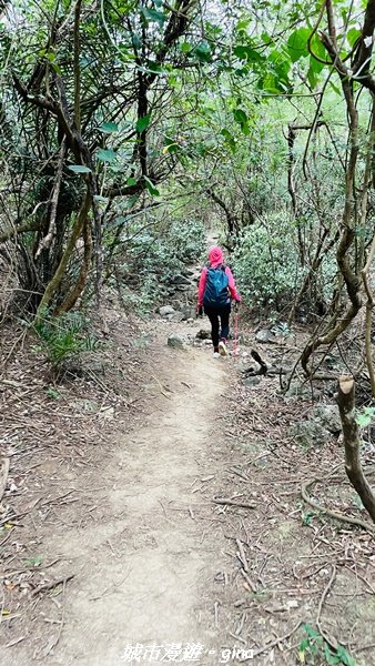 【屏東恆春】墾丁半島最高峰。 小百岳集起來。 編號81小百岳-大山母山步道1722627