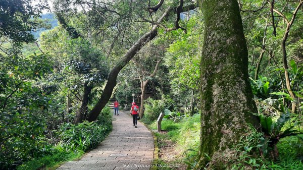 《台北》城市晨運｜虎山親山自然步道（松山慈惠堂）202505222795764